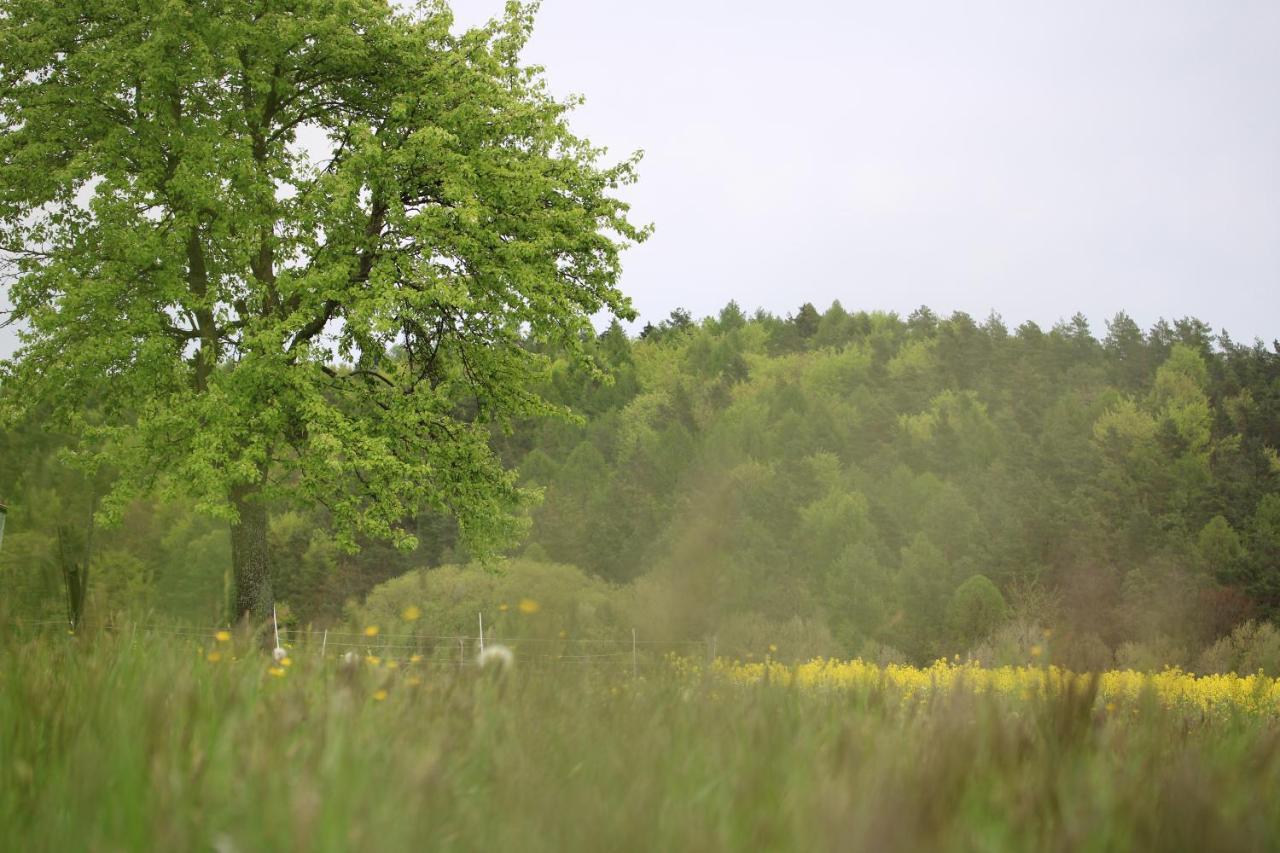 Gasthaus Hofmann Schindelsee エクステリア 写真